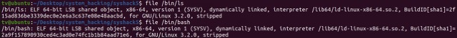 실제로 file 명령어를 이용해 리눅스의 바이너리 파일들의 종류(타입)을 확인해 본 결과. SYSV에 명시된 규약을 따라 컴파일된 바이너리임을 알 수 있다.